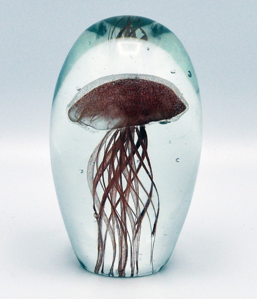 O4HOME + Jellyfish, bruin M